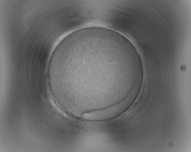 X0000113940864200911061240