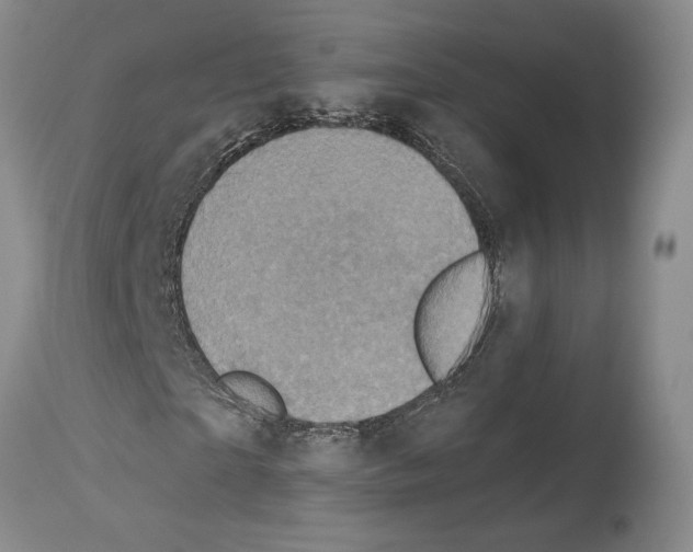 X0000113940865200911061239