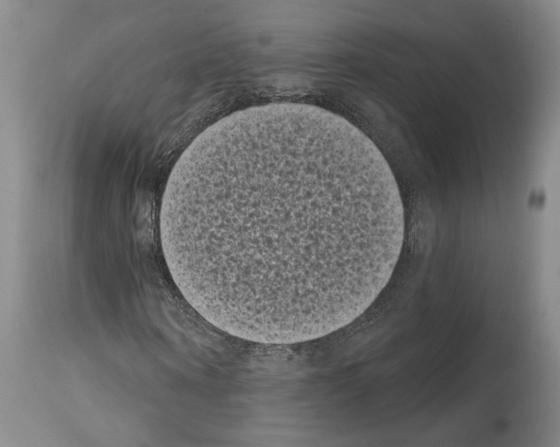 X0000113940866200911061239