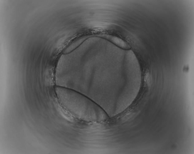 X0000113940868200911061239