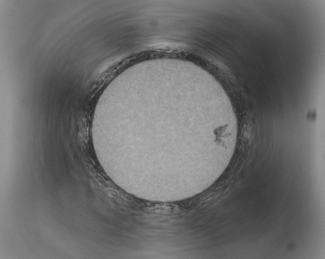 X0000113940869200911061239