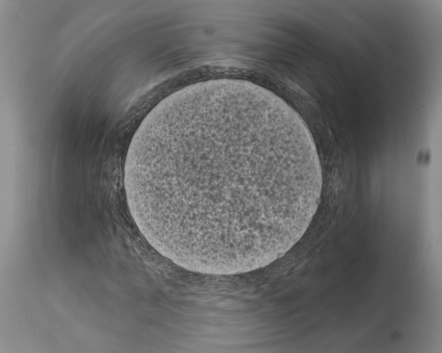 X0000113940870200911061239