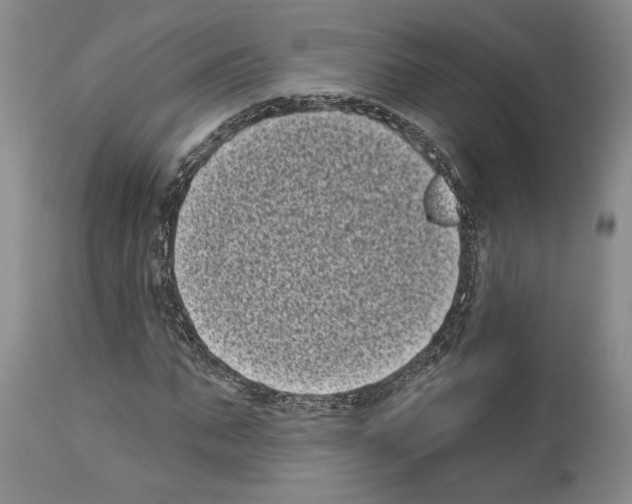 X0000113940871200911061239