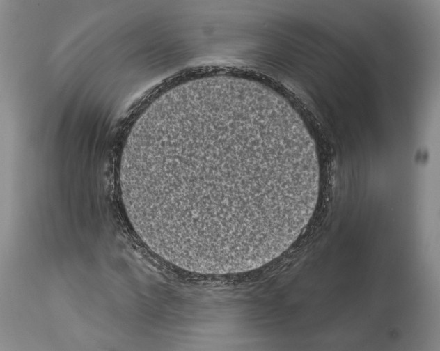 X0000113940872200911061239