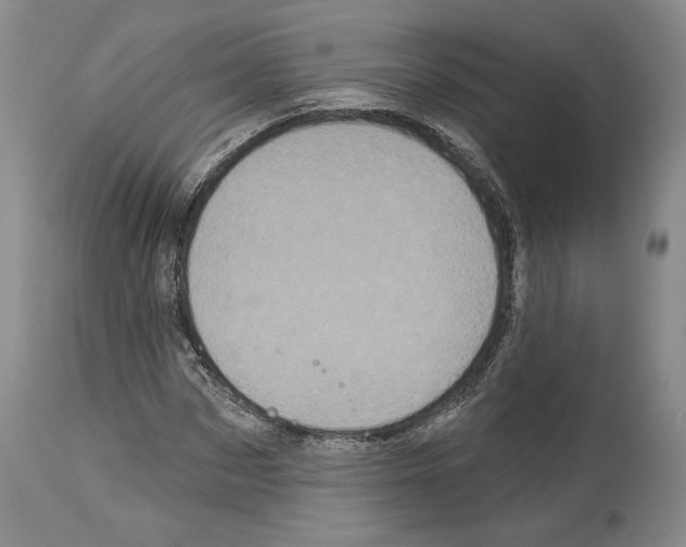 X0000113940873200911061239