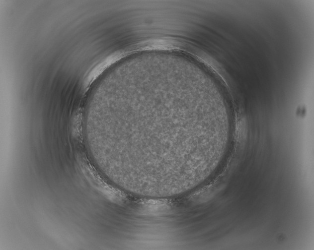 X0000113940874200911061239