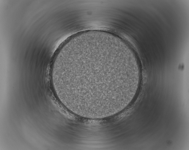 X0000113940875200911061239