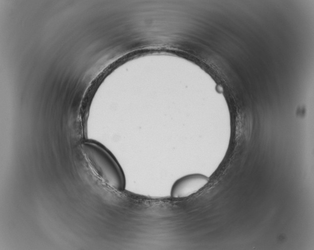 X0000113940876200911061239