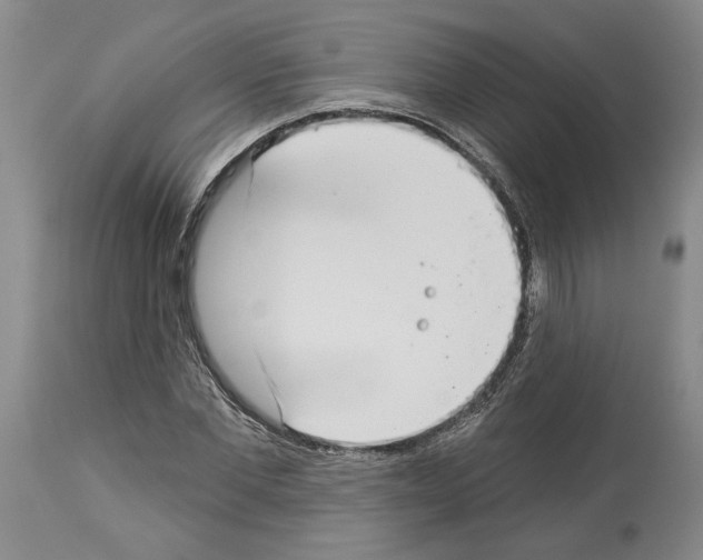 X0000113940877200911061239