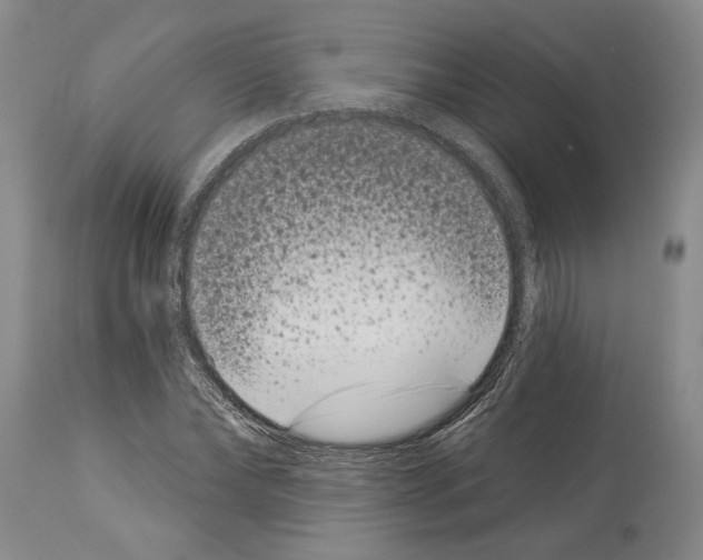 X0000113940878200911061239