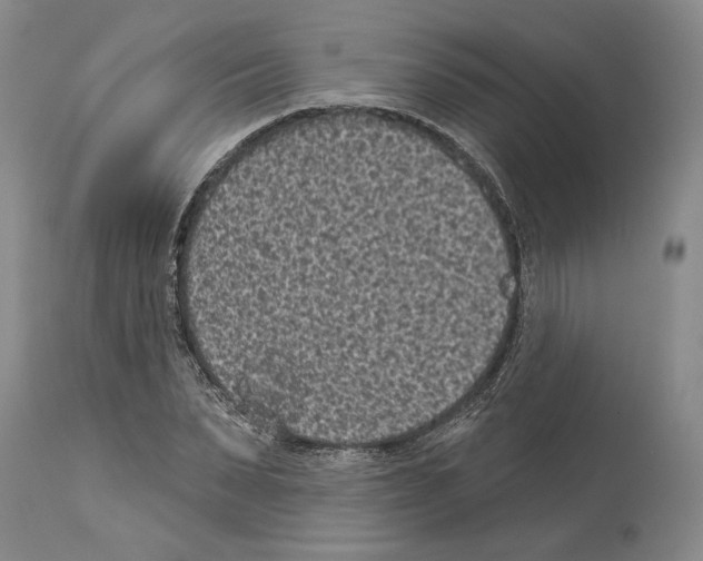 X0000113940879200911061239