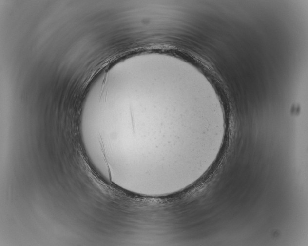 X0000113940881200911061239