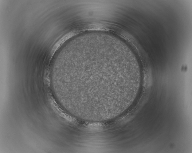X0000113940882200911061239