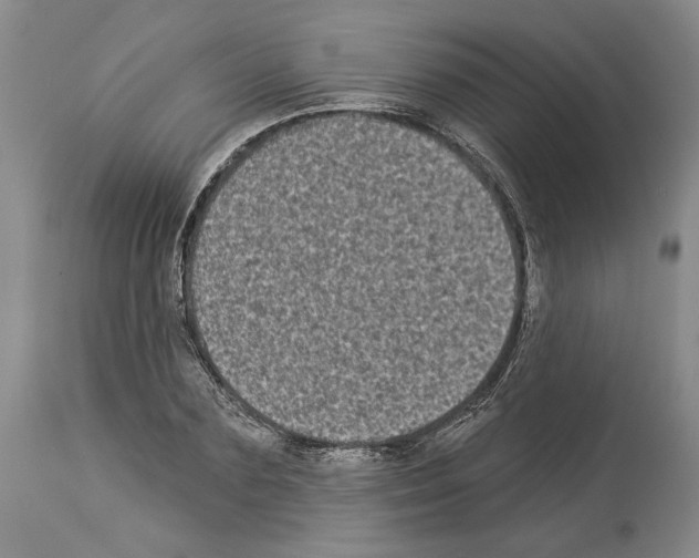 X0000113940883200911061239