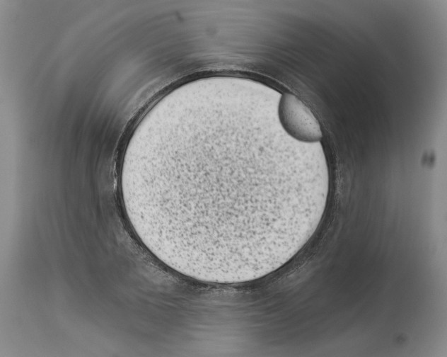 X0000113940885200911061239