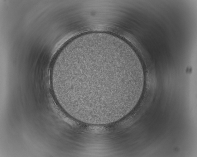 X0000113940886200911061239