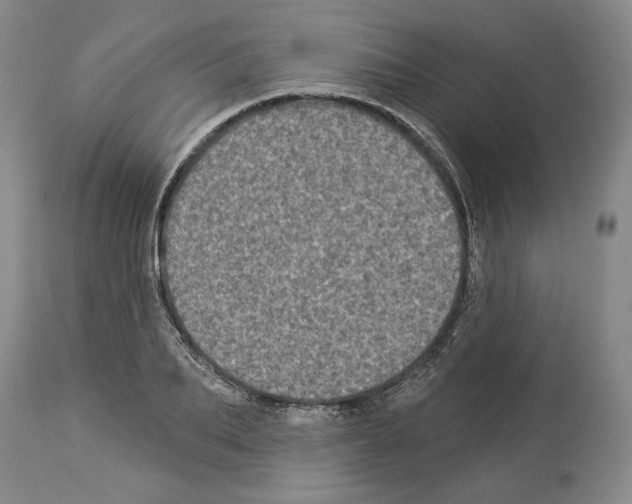 X0000113940887200911061239