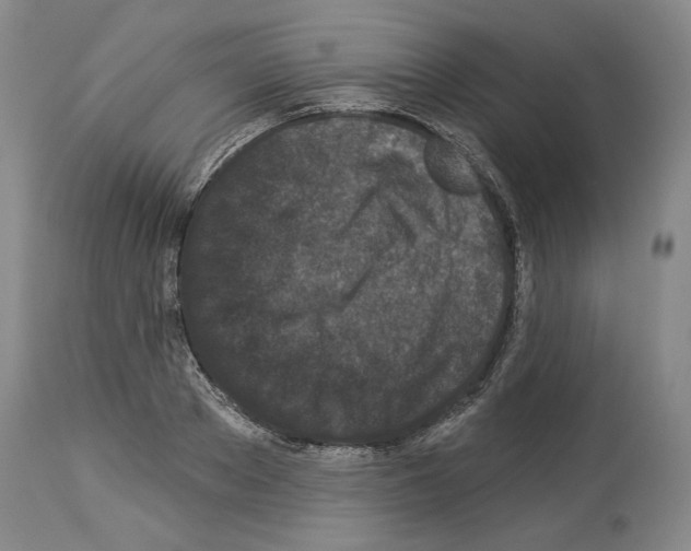 X0000113940889200911061239