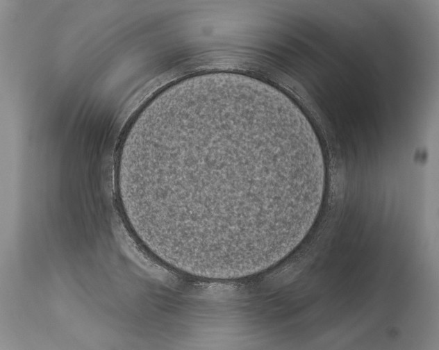X0000113940890200911061239