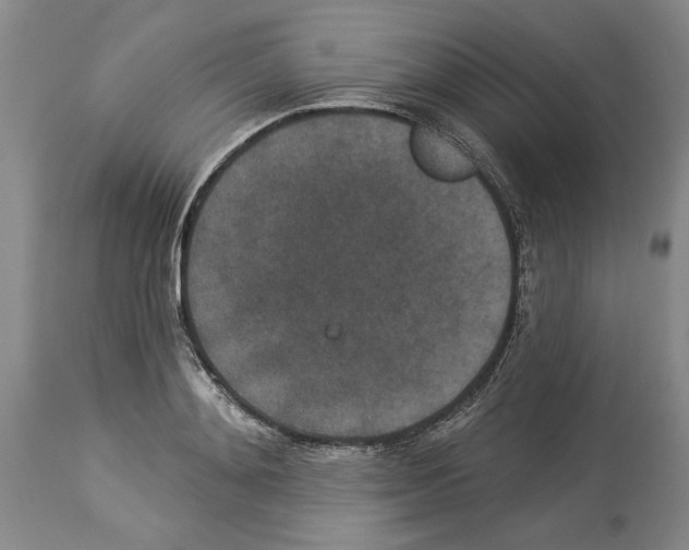 X0000113940892200911061239