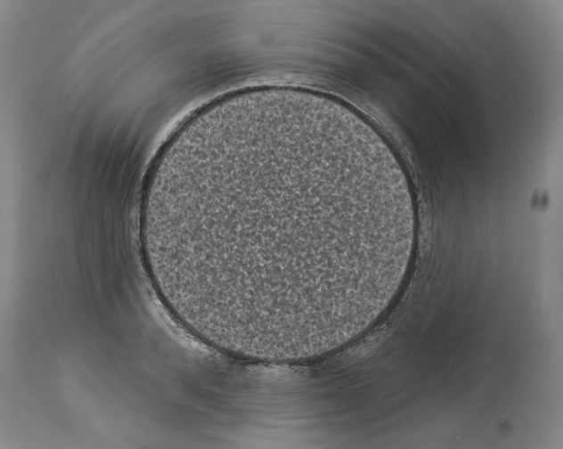 X0000113940896200911061239