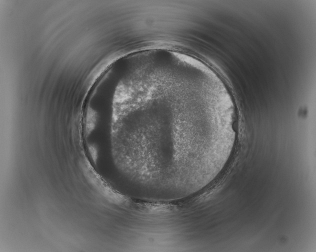 X0000113940899200911061239