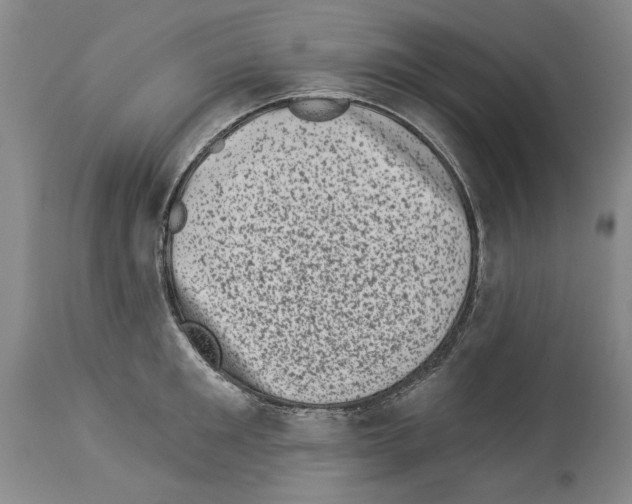 X0000113940901200911061238