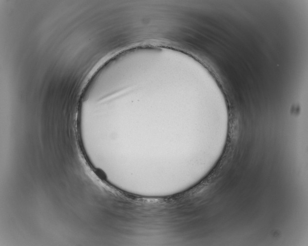 X0000113940903200911061238