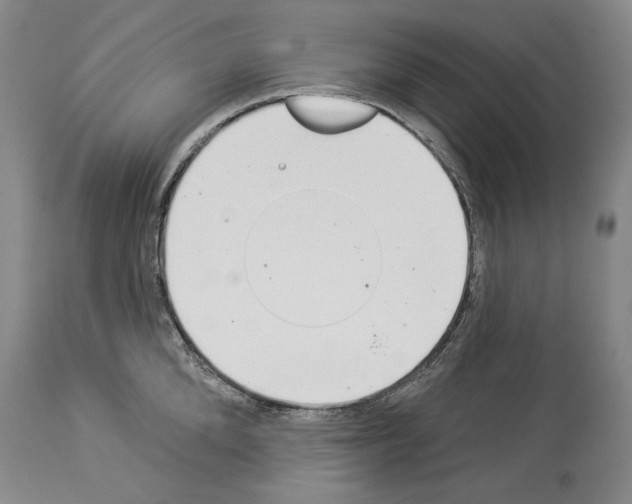 X0000113940904200911061238