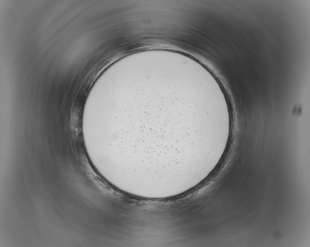 X0000113940905200911061238