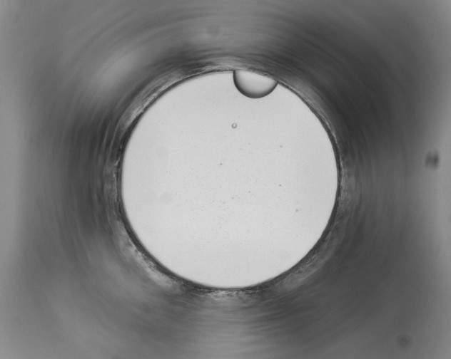 X0000113940906200911061238