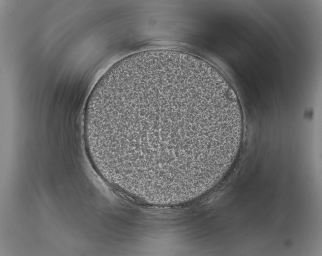 X0000113940907200911061238