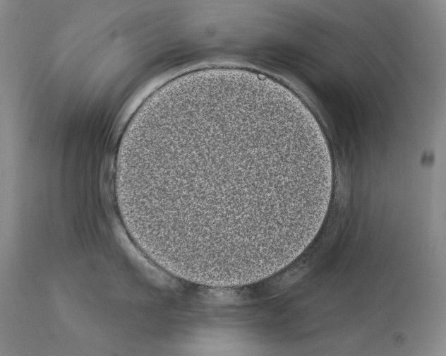 X0000113940911200911061238