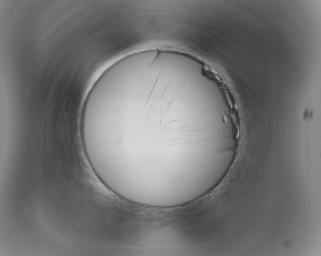X0000113940912200911061238