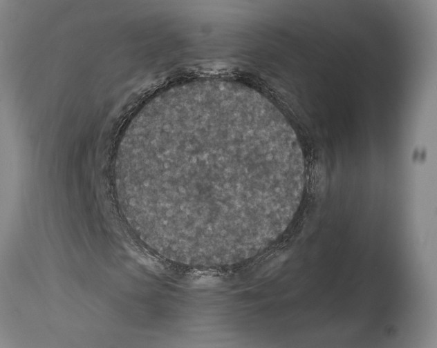 X0000113940913200911061238