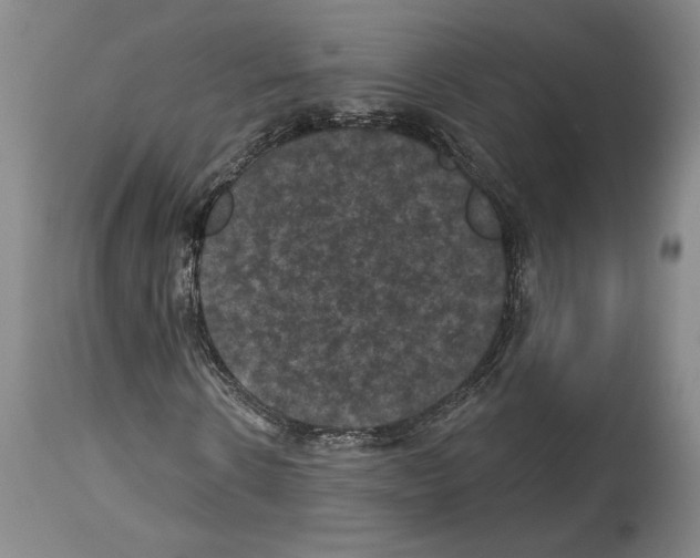 X0000113940914200911061238