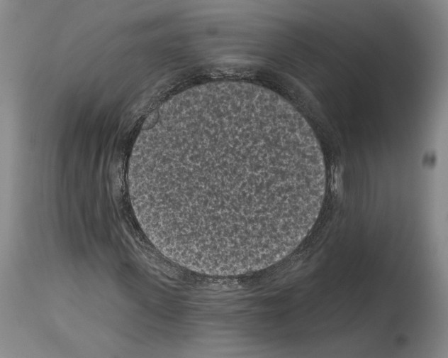 X0000113940915200911061238