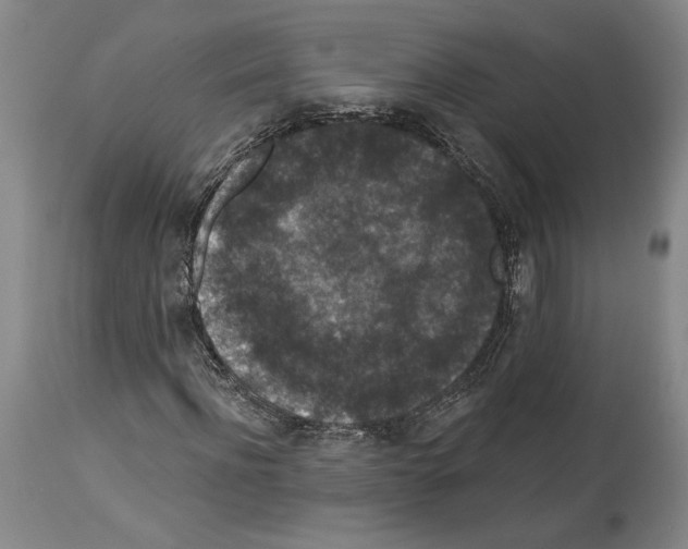 X0000113940916200911061238