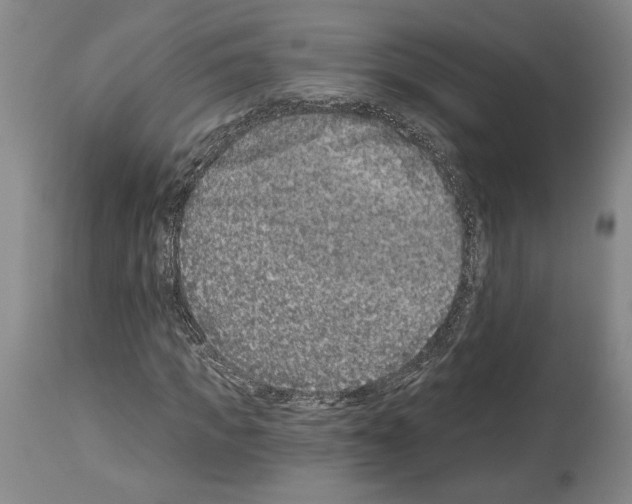 X0000113940917200911061238