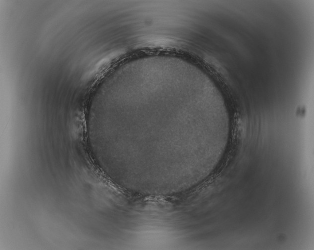 X0000113940918200911061238