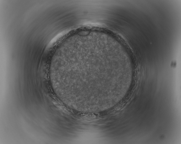 X0000113940919200911061238