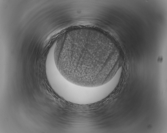 X0000113940920200911061238