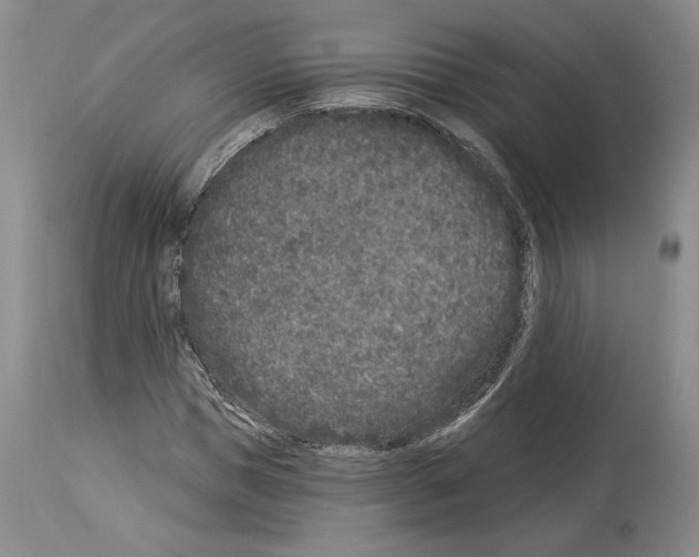 X0000113940921200911061238