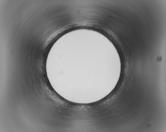 X0000113940922200911061238