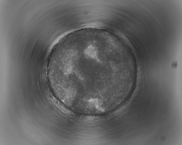 X0000113940923200911061238