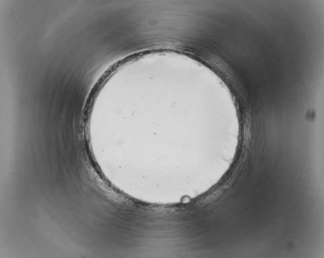 X0000113940924200911061238