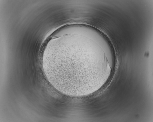 X0000113940925200911061238
