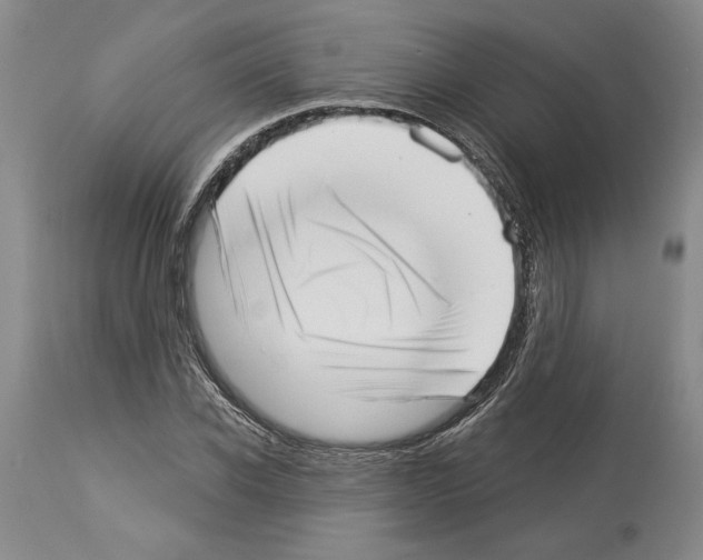 X0000113940926200911061238