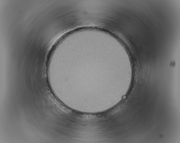 X0000113940927200911061238
