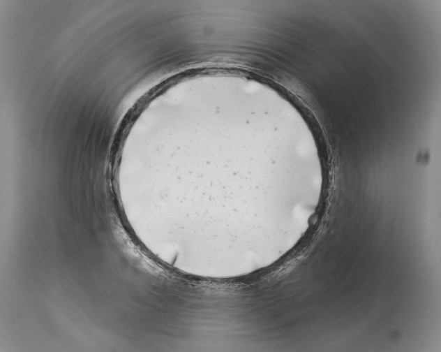 X0000113940928200911061238